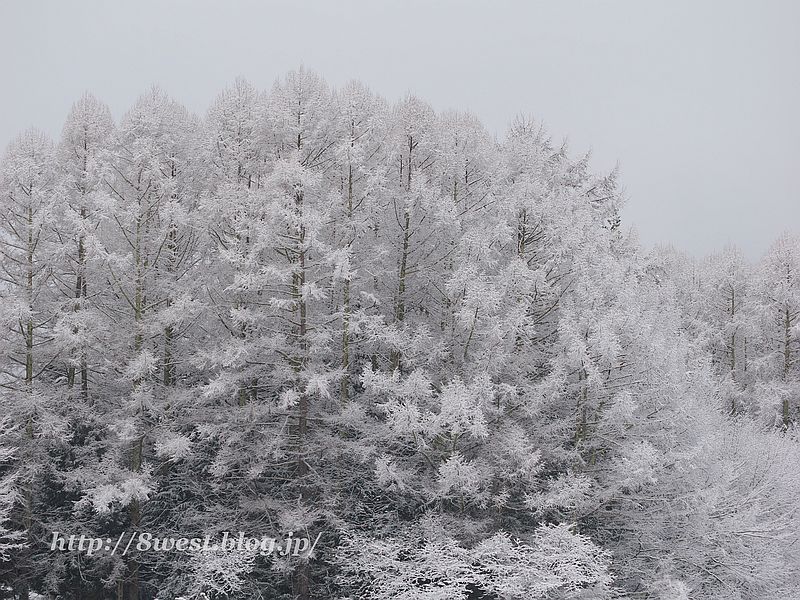 雪3