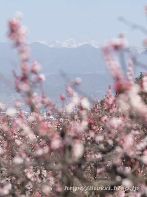 本院岳・西岳