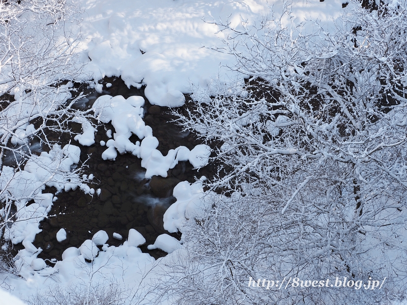 雪B
