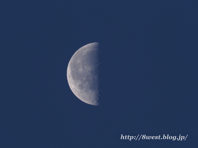 月齢22.66