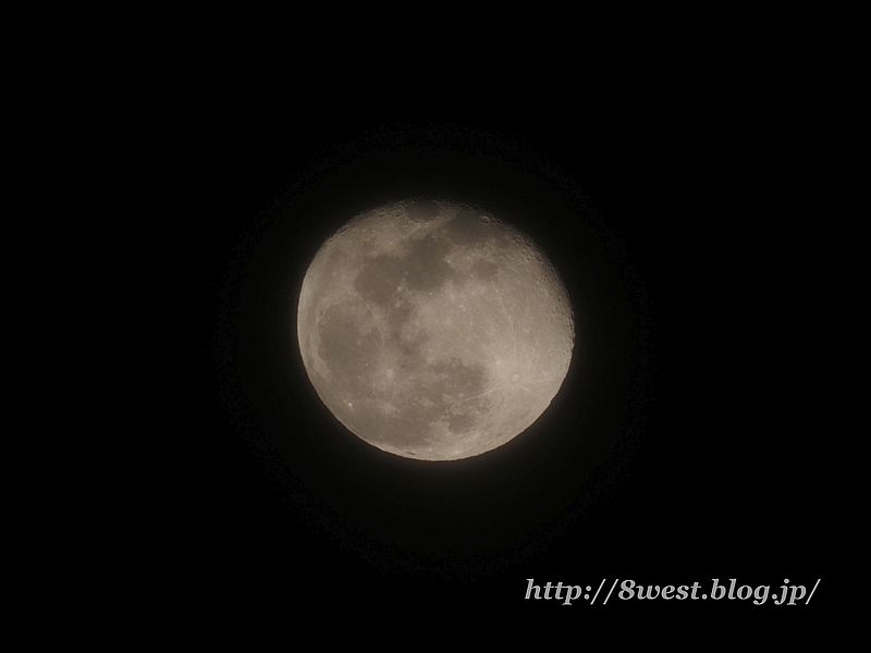 立待月16.42