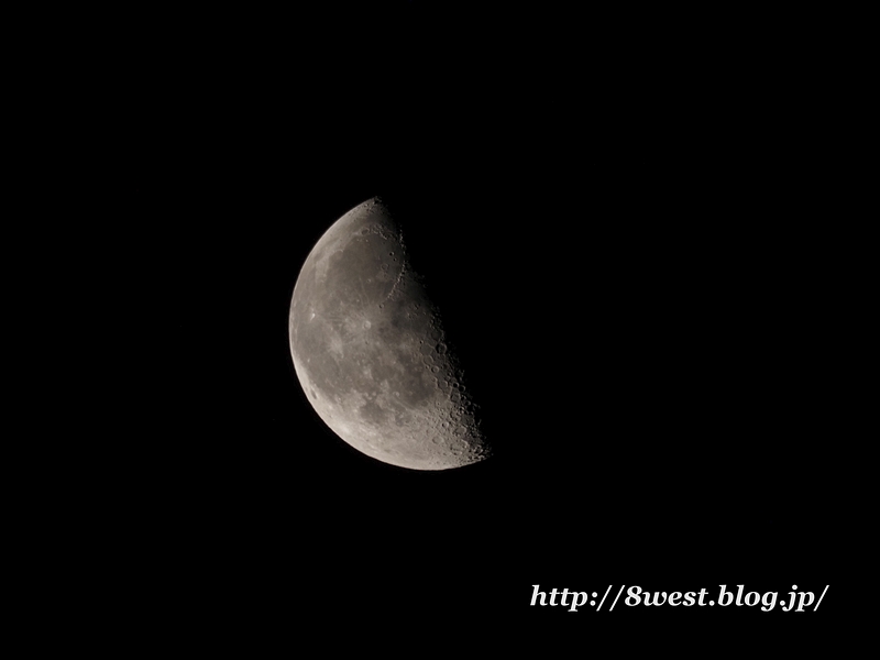 弓張月2181
