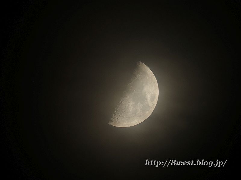 弓張月7.71