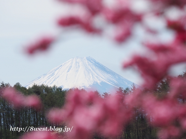 富士山3