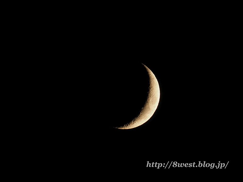 月齢4.56