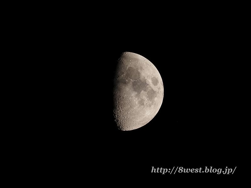 九夜月7.95