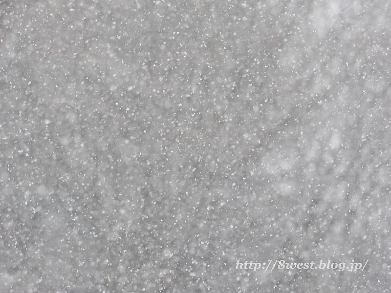 雪1