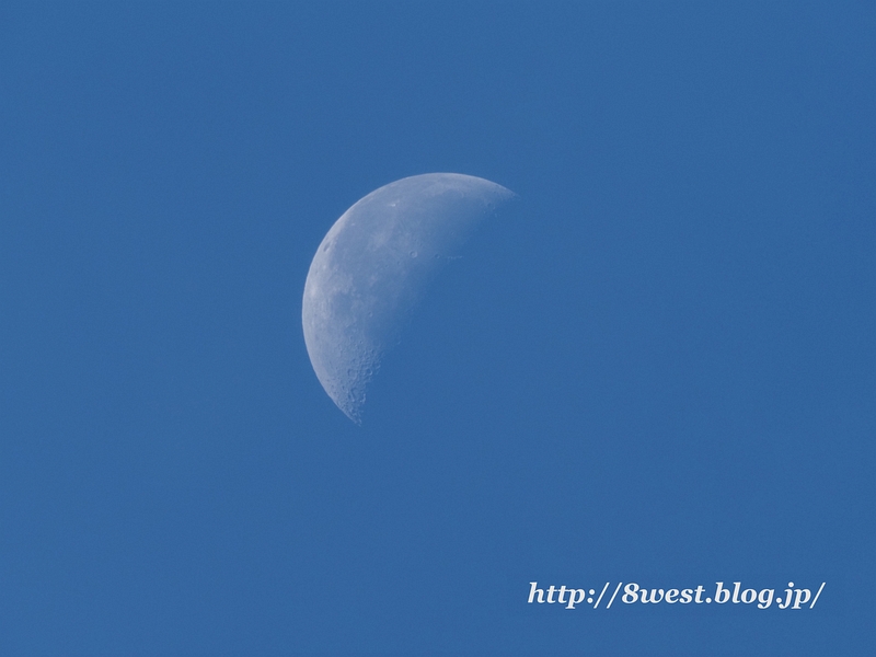月齢22.95
