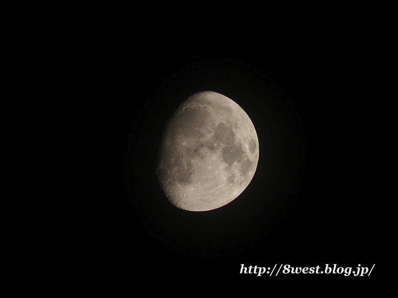 月齢11.58
