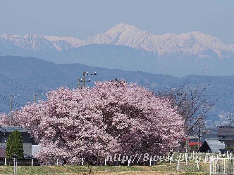 常念岳