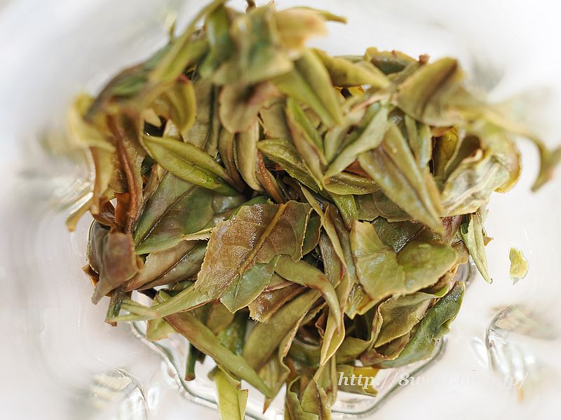 ヒマラヤンホワイト2