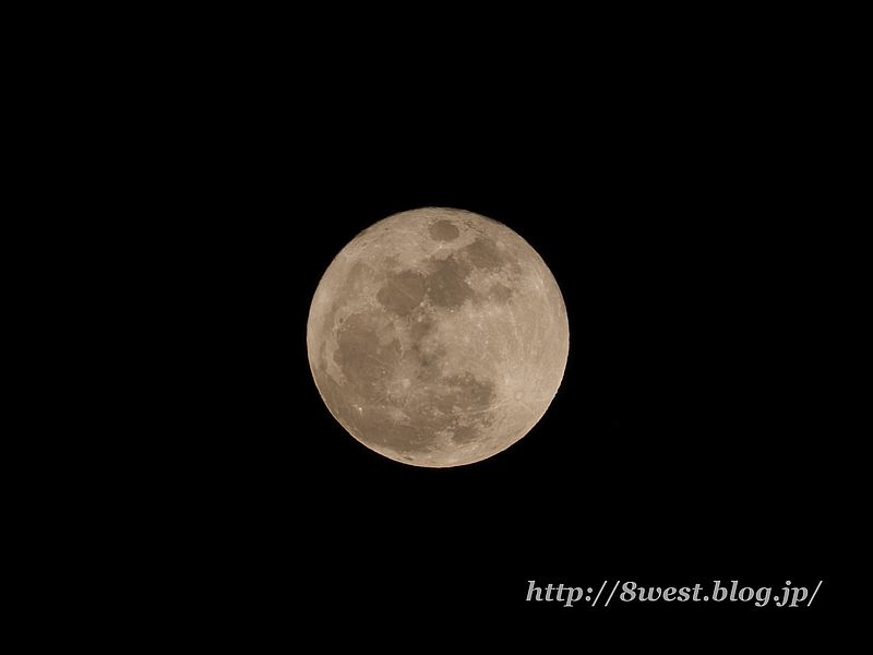 望月14.40