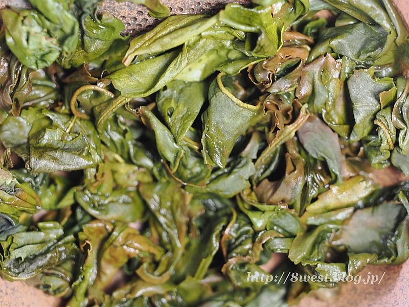 青烏龍茶3