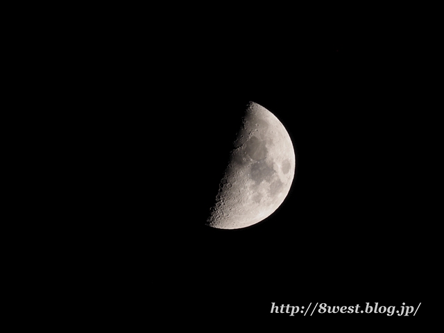 九夜月8.15