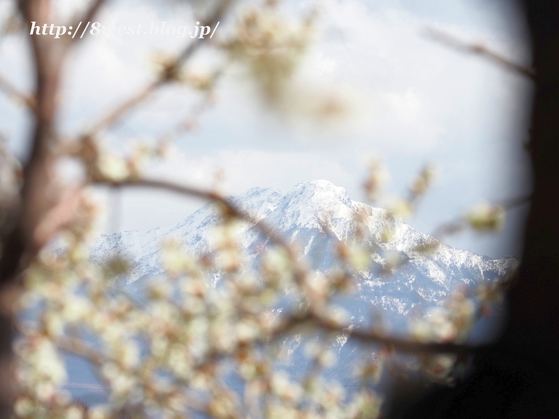 赤岳阿弥陀岳