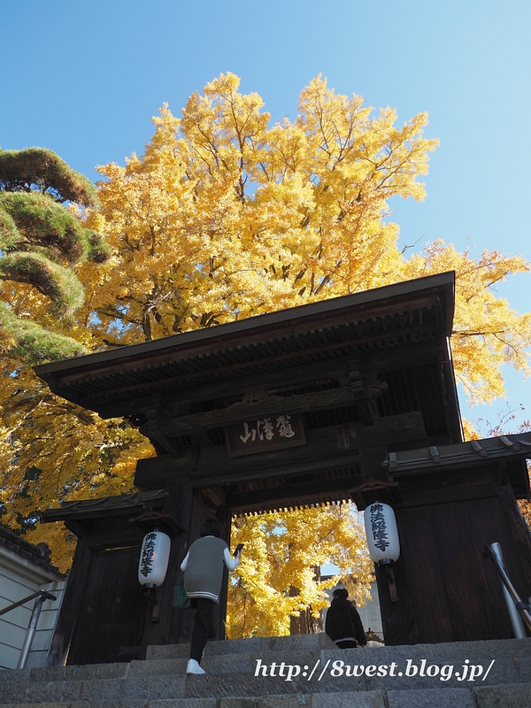 仏法紹隆寺