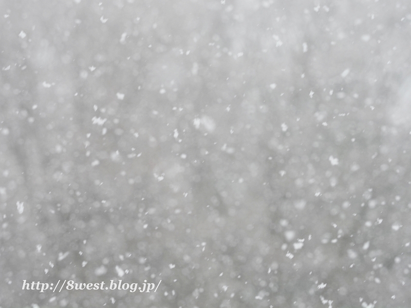 雪1