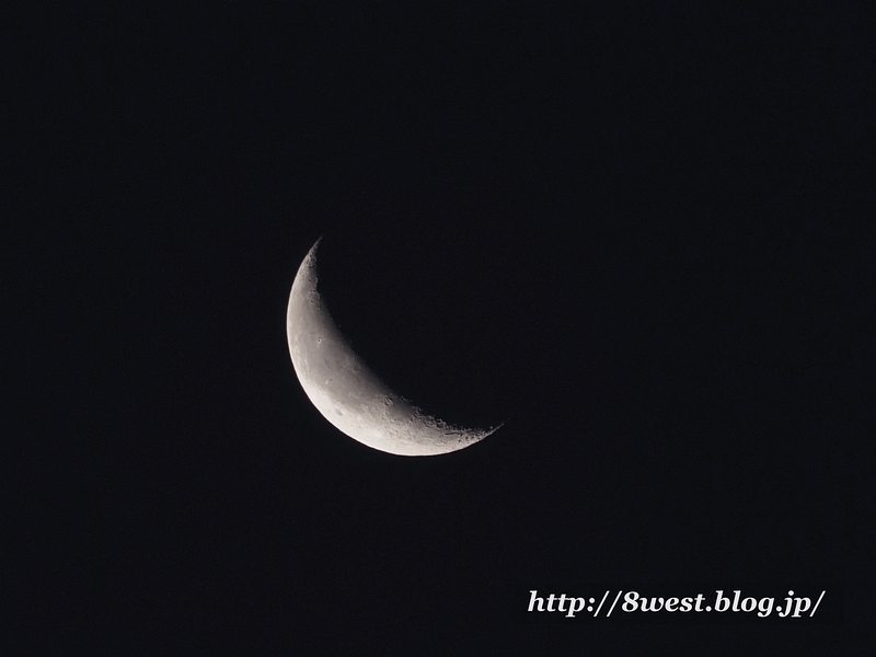 二十六夜月24.5