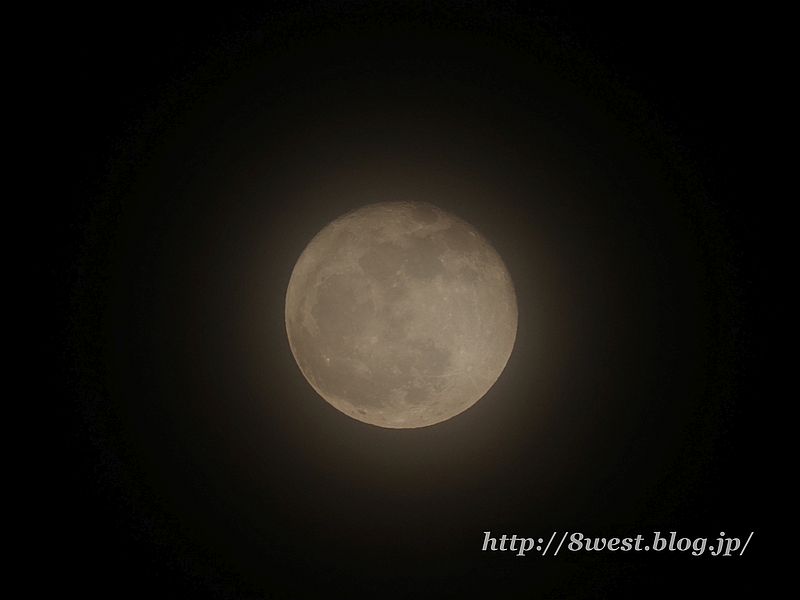 立待月16.05
