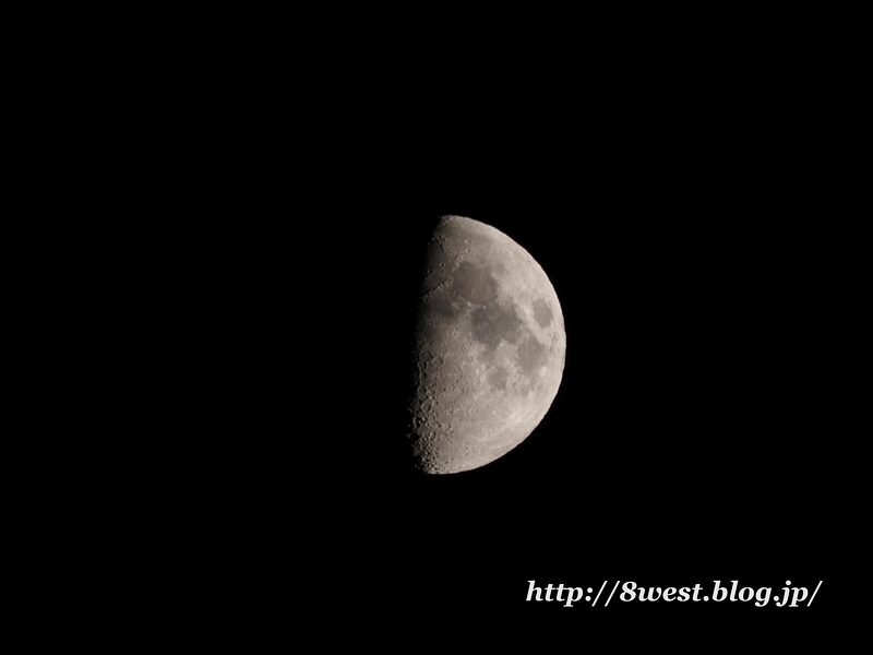 九夜月8.30