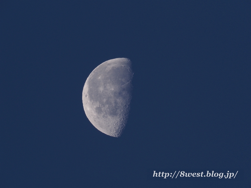 弓張月21.66