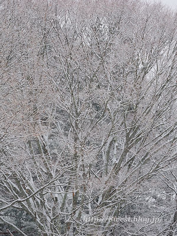 雪2