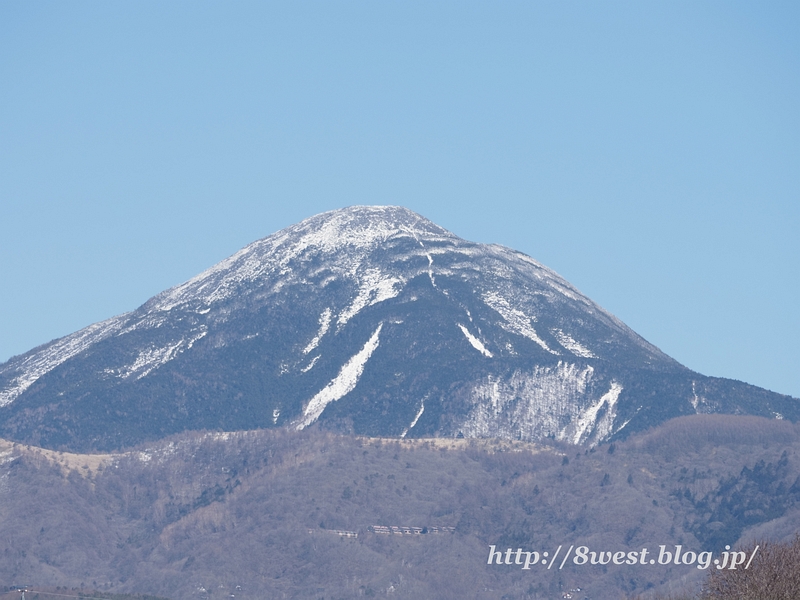 ニホンミツバチ 新 八ヶ岳西麓日記
