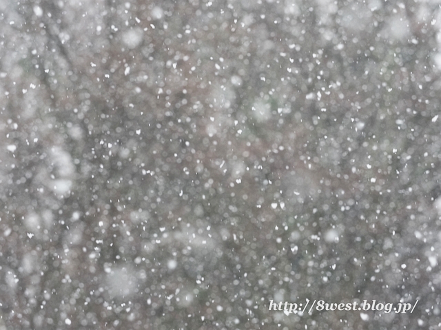 雪