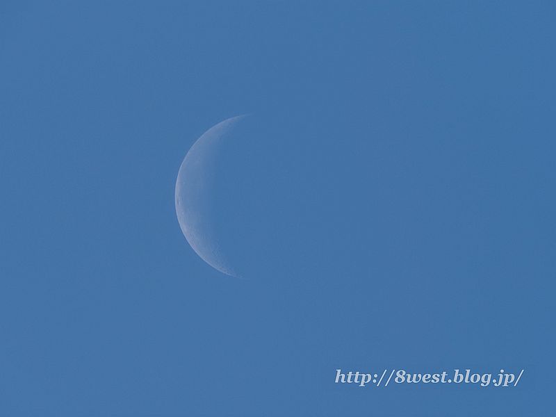 月齢24.49