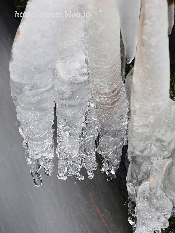 飛沫氷5