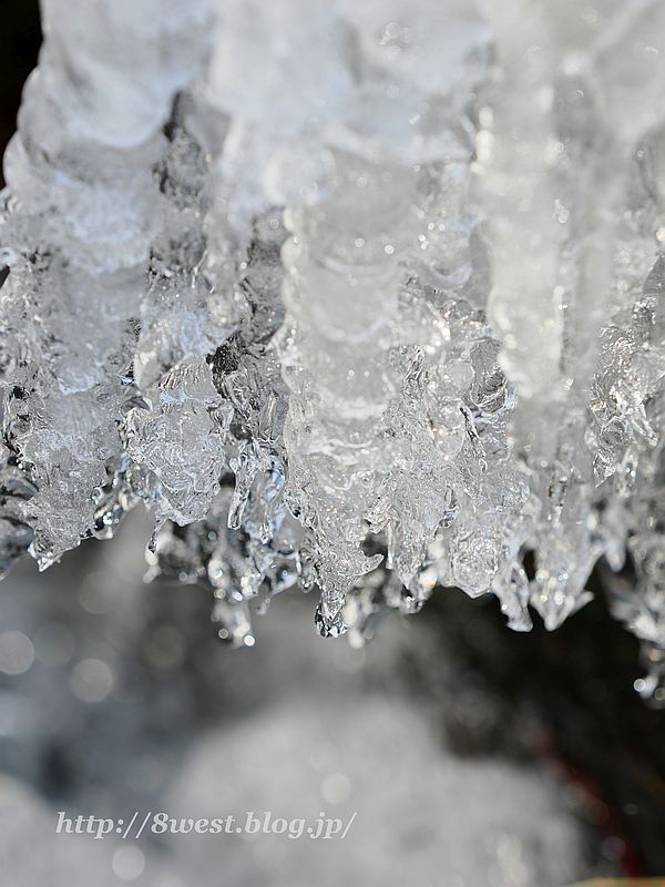 飛沫氷1