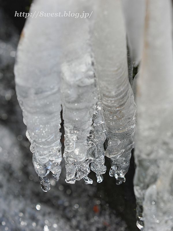 飛沫氷4