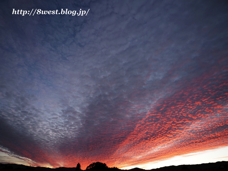 夕焼け