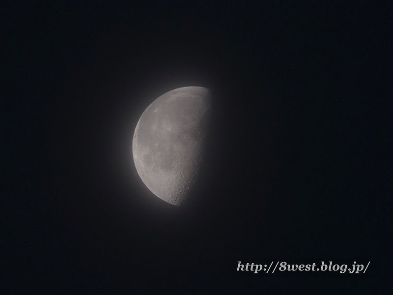 月齢20.61