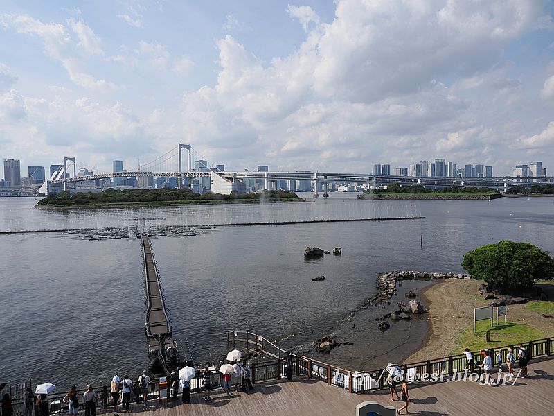 お台場5