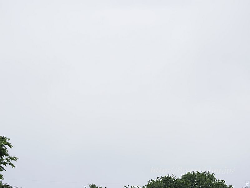 蓼科山1240