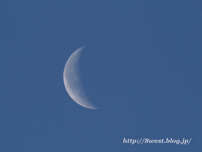 月齢24.66