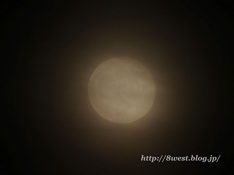 十六夜月15.70