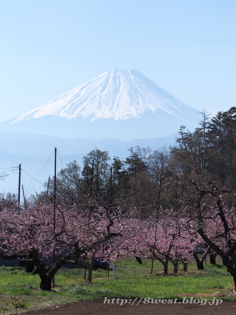 富士山2