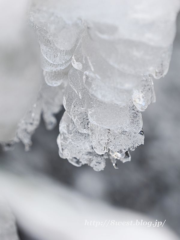 飛沫氷3