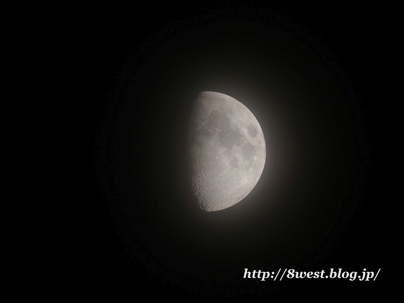 九夜月8.68