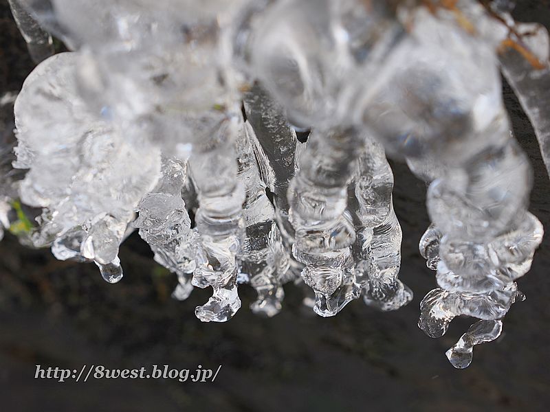 飛沫氷7