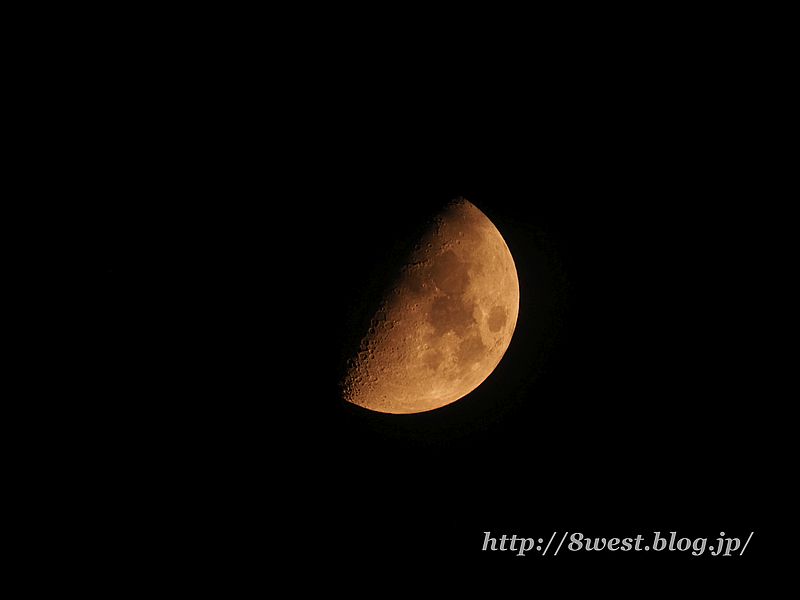 九夜月8.13