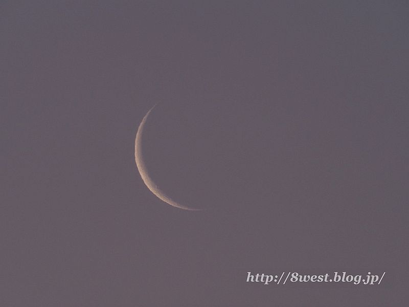 月齢27.06