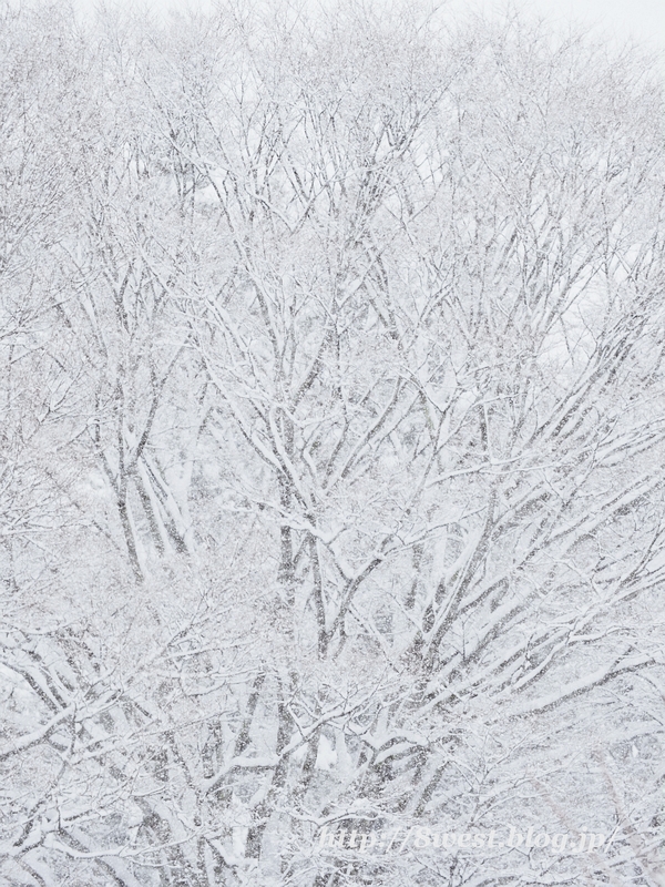雪4