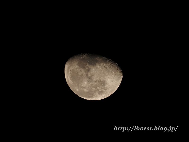 寝待月18.50
