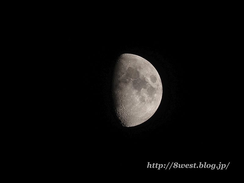九夜月8.65