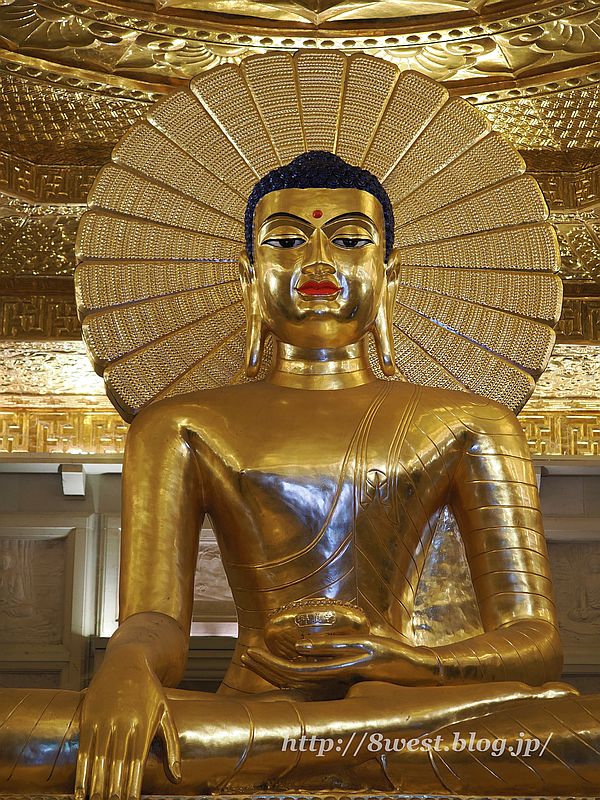 バイディン寺66