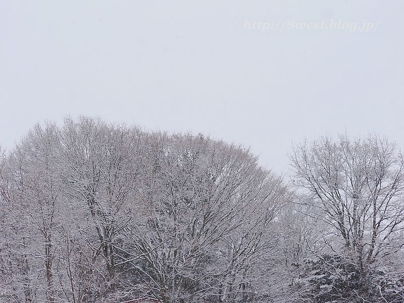 雪4