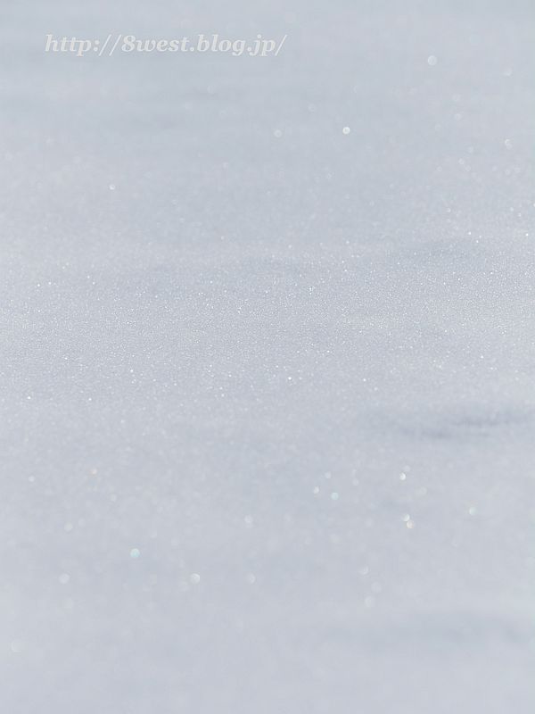 雪